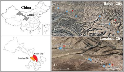 Effects of long-term metal exposure on the structure and co-occurrence patterns of the oral microbiota of residents around a mining area